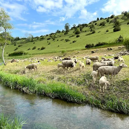 Heid-blick منزل للإقامة Gomadingen